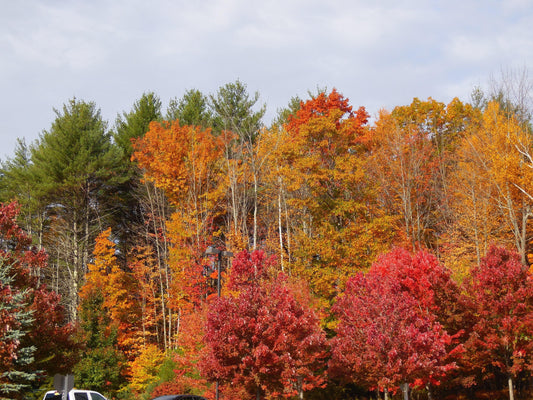 Hello Autumn!-LeightWorks