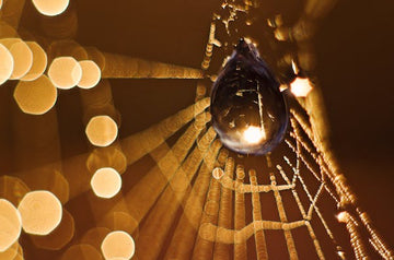 The Timeless Elegance of Teardrop Charms: A Symbol of Emotion and Grace