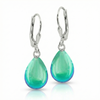 Dangle Crystal Drop Earrings