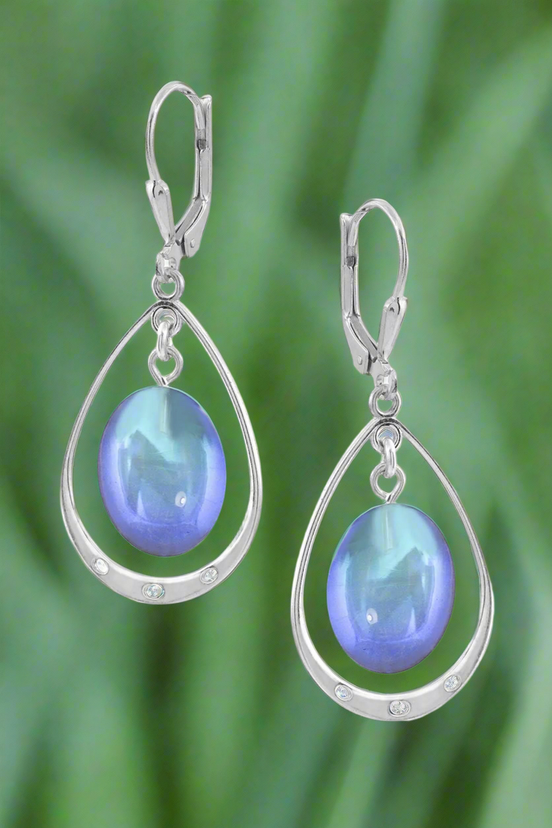 Oval with Loop Earrings